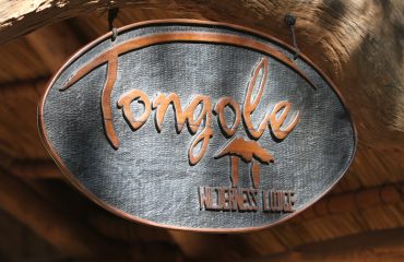 Tongolo Wilderness lodge
