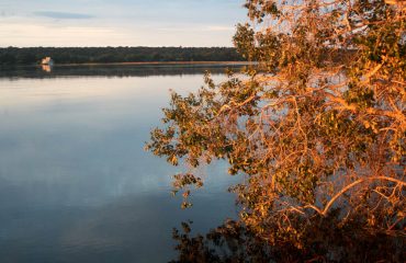 Okavango stilleven