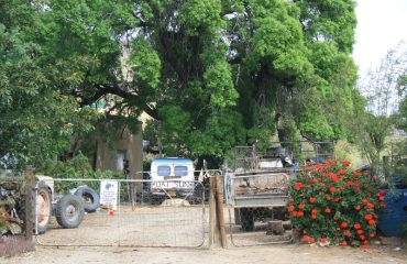 KLein Karoo - platteland plaaswerf