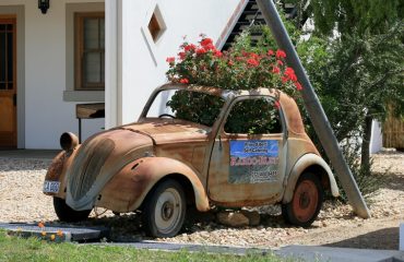 Klein Karoo - old timer